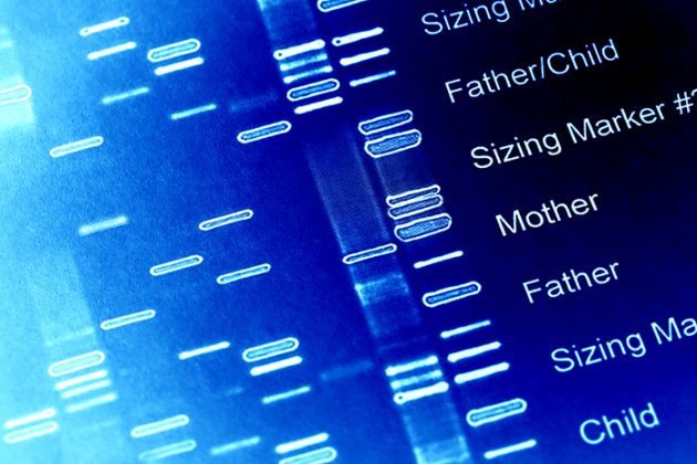 BC Platforms excels in genome analyses