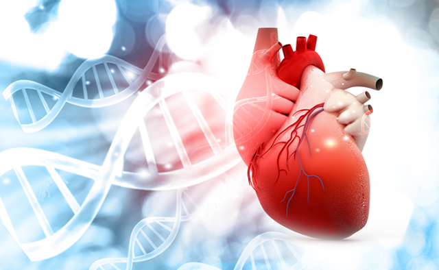 BC Platforms Participates in Horizon 2020 Programme Designed to Facilitate Research to Prevent Sudden Cardiac Arrest