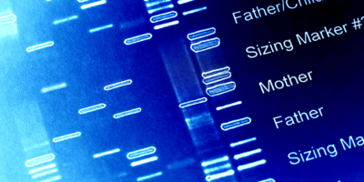 image press release BC Platforms excels in genome analyses