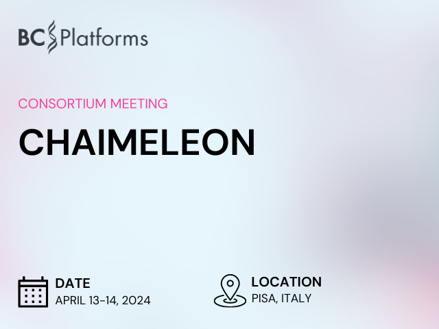 Chaimeleon Consortium Meeting