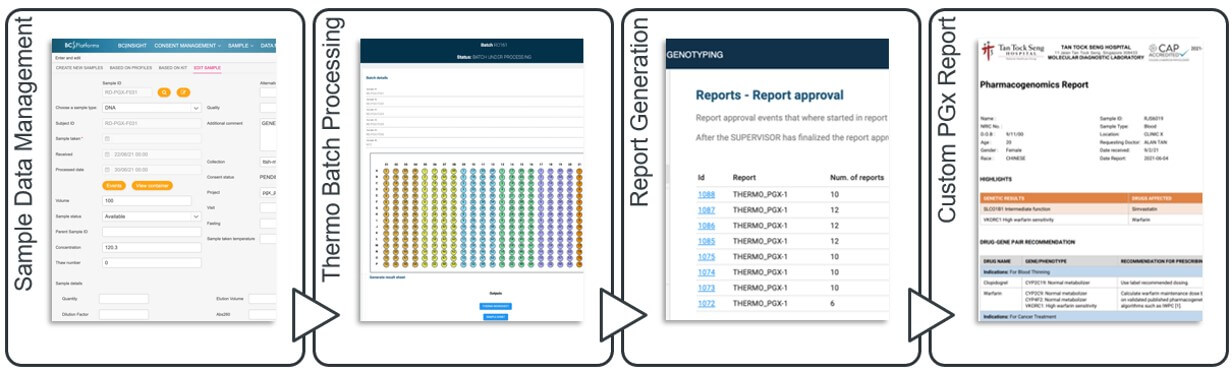 PgX report